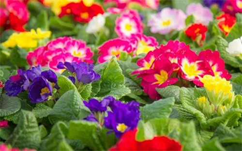 秒杀抢购火爆的句子(秒杀活动的宣传语句)