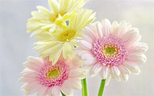 秒杀抢购火爆的句子(秒杀活动的宣传语句)