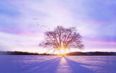 ​自己压抑心累的句子说说（无奈心酸的说说心情）