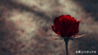 ​十个高逼格的句子，或许对你有帮助