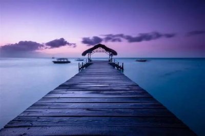 ​庆祝元旦的优美句子简短（元旦名言名句摘抄）