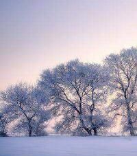 冬日暖阳的唯美句子，再见了冬日暖阳的唯美句子？图3