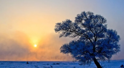 ​冬日暖阳的唯美句子，再见了冬日暖阳的唯美句子？