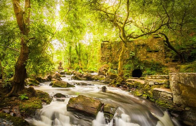 形容春天的优美句子,形容春天的优美句子?图11