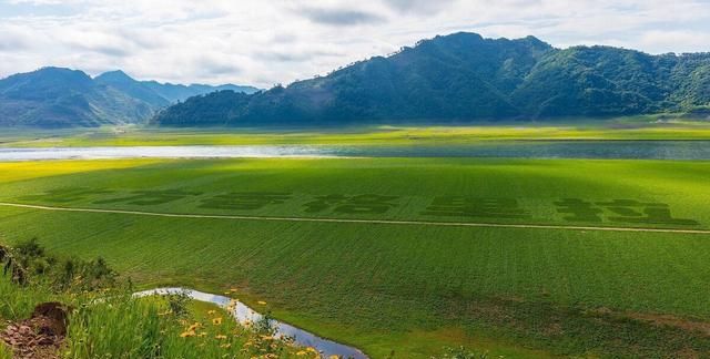 形容春天的优美句子,形容春天的优美句子?图12