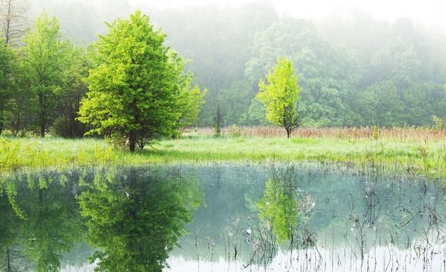 形容春天的优美句子,形容春天的优美句子?图4