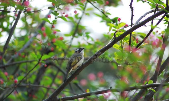 形容春天的优美句子,形容春天的优美句子?图7