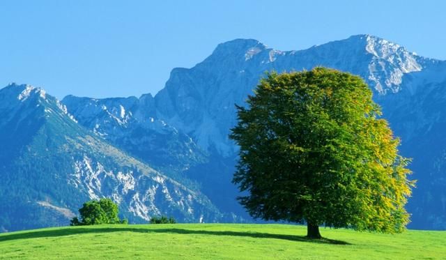 形容春天的优美句子,形容春天的优美句子?图13