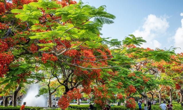 形容春天的优美句子,形容春天的优美句子?图14