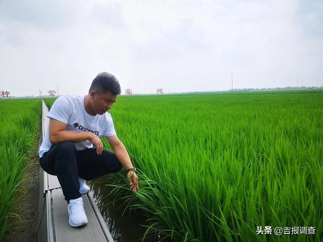 牛年即将过去迎接虎年的句子，站在虎年回望牛年(7)