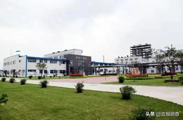 牛年即将过去迎接虎年的句子，站在虎年回望牛年(11)