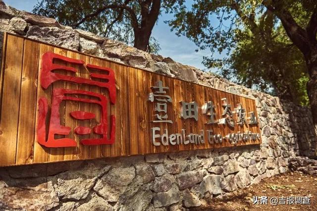 牛年即将过去迎接虎年的句子，站在虎年回望牛年(8)