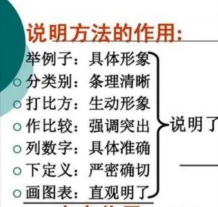 ​什么是说明方法（什么是说明方法的句子）