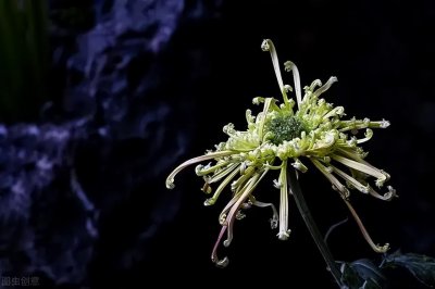 ​简短的劝节哀的句子（悼念逝者的句子 悼念逝者的文案）