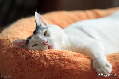 ​撩男人下面硬的污句子情话套路(做个撩人的小妖精：撩到男人腿软的小情话)