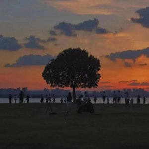 ​美景随拍感言简短句子(适合配风景照的温柔文案)