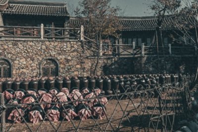 ​1905年5月14日袁世凯练成北洋新军