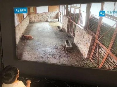 ​良渚“网红”小鹿正脸照首曝光“最佳鹿名”等你来取