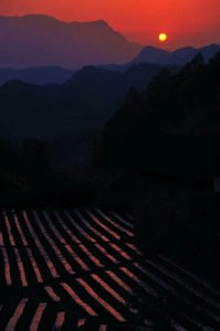 ​世界茶旅之乡、土家茶乡 ——湖北五峰