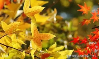 ​看完80+款秋天素材，我为你整理了这份树叶手工大全