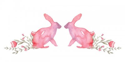 ​苏北计划|你将青春献给了谁？