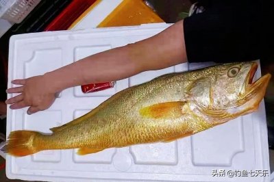 ​出海钓鱼能致富？湛江小伙现身说法：曾月入过万，一年暴瘦20斤