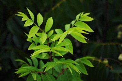 ​意外！被中国用核武器轰炸45次的罗布泊，现在竟然成了这副模样