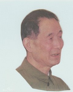 ​开国少将张震寰回忆新四军九旅北上山东参加界河北伏击战韩临战役