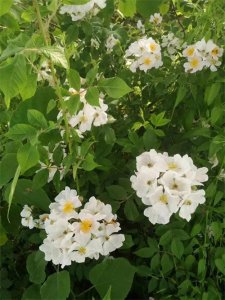 ​大部分挣不到钱的人，都有这些特征