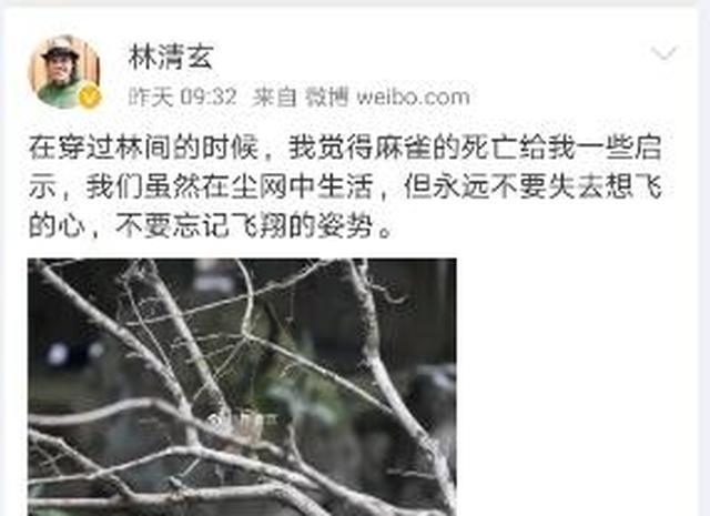 台湾知名作家林清玄走了,感谢他的“赫本”方淳珍陪伴了他一生!