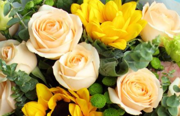 9朵黄玫瑰代表什么,99朵玫瑰花图片图2