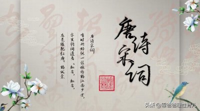 ​和孩子一起，每天背首诗：35《送兄》