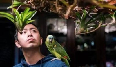 ​最强大脑下面谁的工作最辛苦