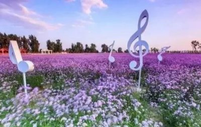 ​花都这里被誉为中国的普罗旺斯~漫步在花海：广州花都香草世界