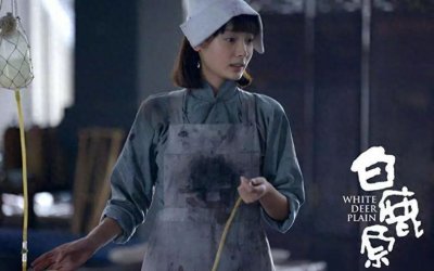 ​揭开《白鹿原》屡次被禁背后的那些事儿