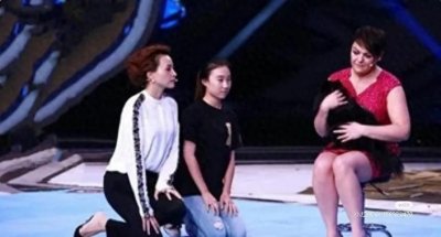 ​董卿：给狗下跪，三分钟黄金救场，一切归零