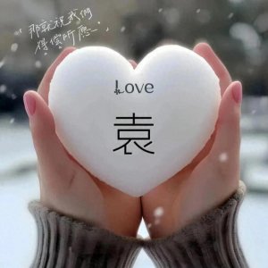 ​姓氏头像：袁、钱、仝、戚、柳、潘、臧、周、刘、柯、席、姜…