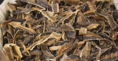 ​20亩地狂赚100万！这个养殖项目，投资小回报高，别错过