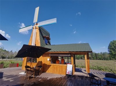 ​秋游好去处！济南鲜花港邀你共赏百亩花海