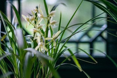 ​一个有灵性的女人，往往有这3个特质