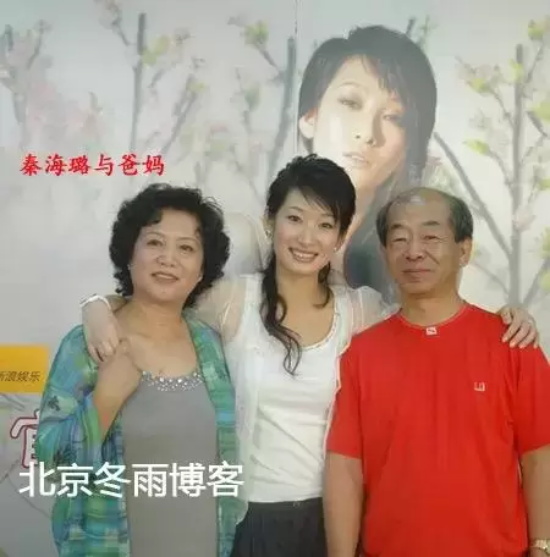 秦海璐结过几次婚？