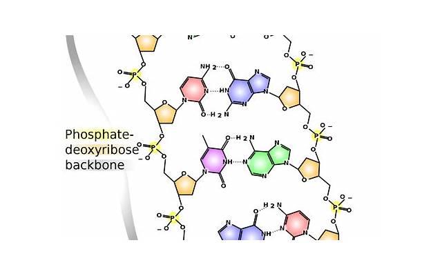  黄志玮的魔尊重楼变装一下子拉回仙剑3，谁的DNA动了？
