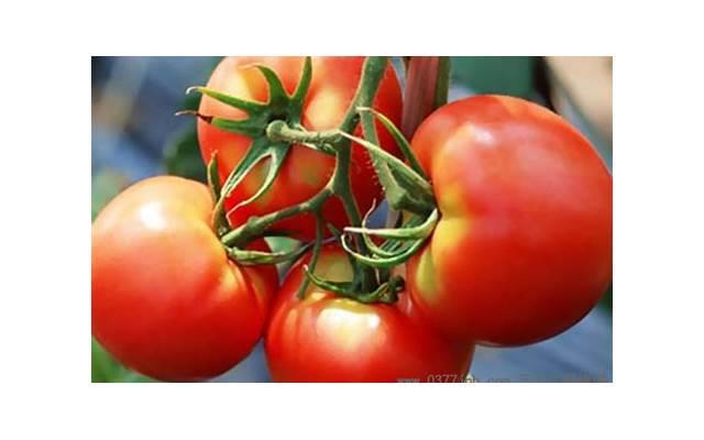 凤凰男什么意思啊 凤凰男的十大特征