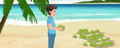 ​海南椰子和广东椰子有啥区别