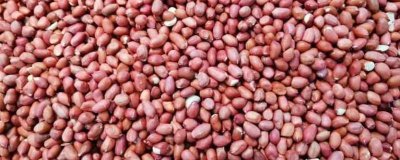 ​花生米的营养价值及营养成分