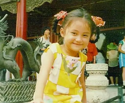 姚笛和文章真的出轨了吗（37岁嫁给富豪丈夫）(6)