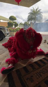 ​吴尊在文莱豪宅过年，Max在家舞狮，neinei比妈妈漂亮，她腿好长