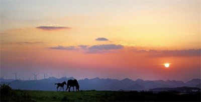 ​【草原新景】高坡云顶草原：暗夜暮曙　观星揽月