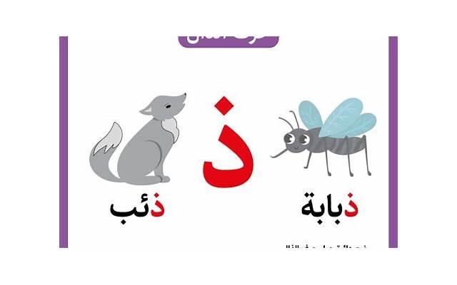 重磅大作《无限直播