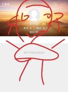 ​网红大变天！罗玉凤微博被“清空”，网友：我错过了什么惊天大瓜